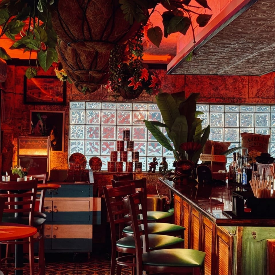Warmly lit restaurant bar interior with red walls, hanging plants, patterned ceiling, colorful seating, and a glass-block window.