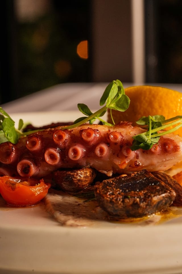 Grilled Octopus.